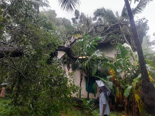 Heavy rain in Udupi 